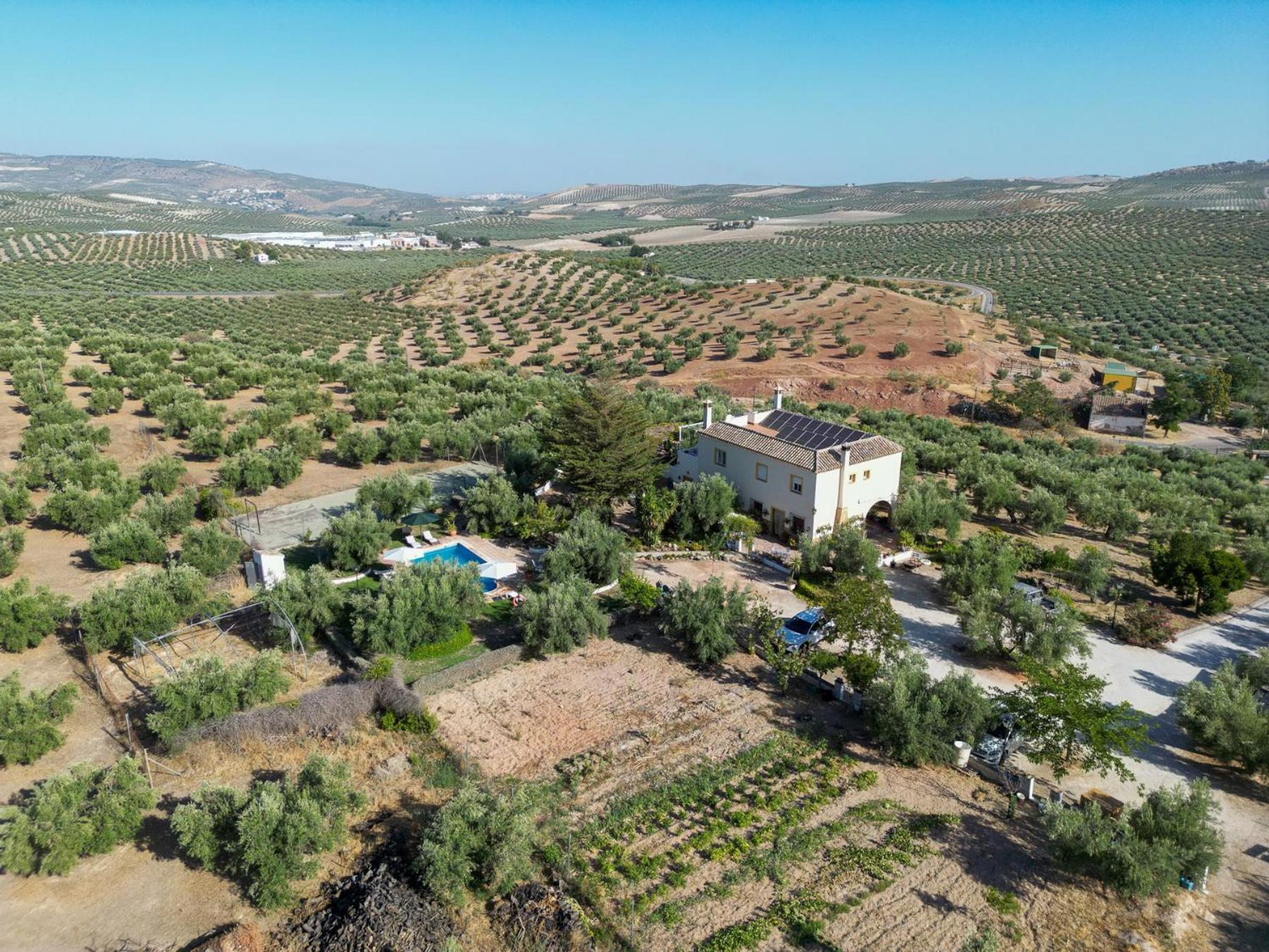 Luque Agroturismo Ecologico El Cortijillo المظهر الخارجي الصورة