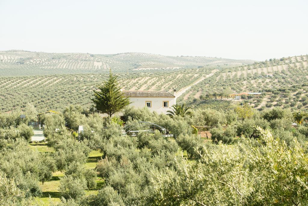 Luque Agroturismo Ecologico El Cortijillo المظهر الخارجي الصورة