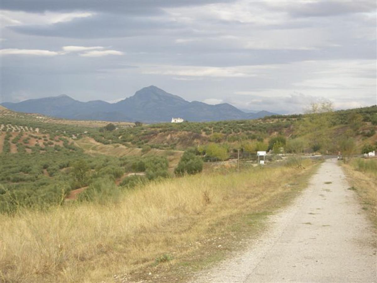 Luque Agroturismo Ecologico El Cortijillo المظهر الخارجي الصورة